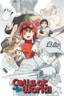 Cells at Work! Dubbed